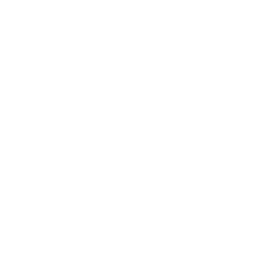 Lloyd Royal Logo